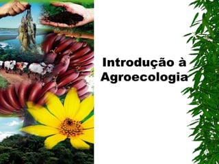 Introdução à
Agroecologia
 