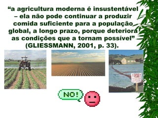 “a agricultura moderna é insustentável
– ela não pode continuar a produzir
comida suficiente para a população
global, a longo prazo, porque deteriora
as condições que a tornam possível”
(GLIESSMANN, 2001, p. 33).

 
