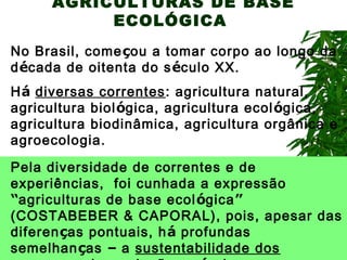 AGRICULTURAS DE BASE
ECOLÓGICA
No Brasil, começou a tomar corpo ao longo da
década de oitenta do s éculo XX.
Há diversas correntes: agricultura natural,
agricultura biológica, agricultura ecol ógica,
agricultura biodinâmica, agricultura orgânica e
agroecologia.
Pela diversidade de correntes e de
experiências, foi cunhada a expressão
“agriculturas de base ecol ógica”
(COSTABEBER & CAPORAL), pois, apesar das
diferenças pontuais, há profundas
semelhanças – a sustentabilidade dos

 