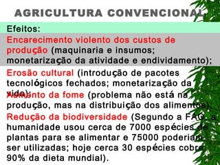 AGRICULTURA CONVENCIONAL
Efeitos:
Encarecimento violento dos custos de
produção (maquinaria e insumos;
monetarização da atividade e endividamento);
Erosão cultural (introdução de pacotes
tecnológicos fechados; monetariza ção da
vida);
Aumento da fome (problema não est á na
produção, mas na distribui ção dos alimentos);
Redução da biodiversidade (Segundo a FAO, a
humanidade usou cerca de 7000 esp écies de
plantas para se alimentar e 75000 poderiam
ser utilizadas; hoje cerca 30 esp écies cobre
90% da dieta mundial).

 