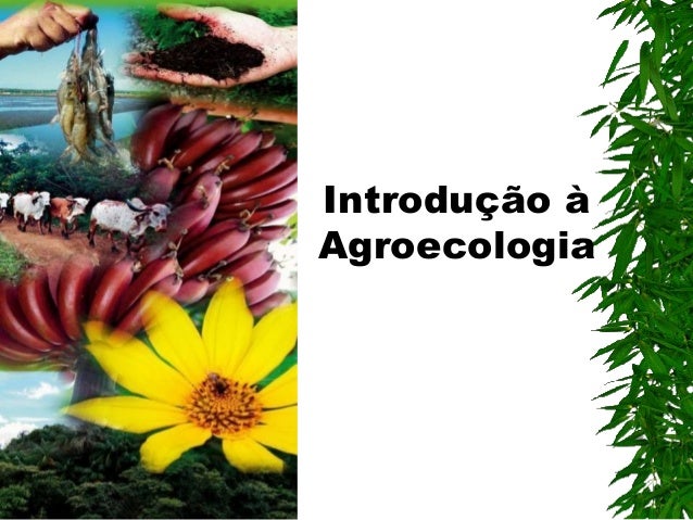 Introdução à
Agroecologia

 