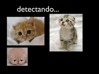 detectando...
 