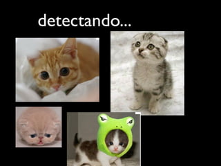 detectando...
 
