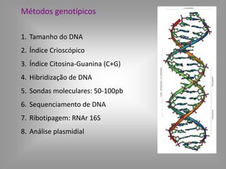 Métodos genotípicos
1. Tamanho do DNA
2. Índice Crioscópico
3. Índice Citosina-Guanina (C+G)
4. Hibridização de DNA
5. Sondas moleculares: 50-100pb
6. Sequenciamento de DNA
7. Ribotipagem: RNAr 16S
8. Análise plasmidial
 