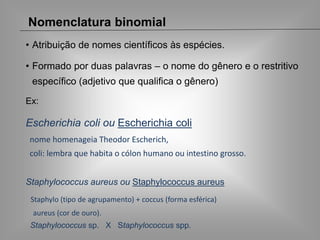 Nomenclatura binomial
• Atribuição de nomes científicos às espécies.
• Formado por duas palavras – o nome do gênero e o restritivo
específico (adjetivo que qualifica o gênero)
Ex:
Escherichia coli ou Escherichia coli
nome homenageia Theodor Escherich,
coli: lembra que habita o cólon humano ou intestino grosso.
Staphylococcus aureus ou Staphylococcus aureus
Staphylo (tipo de agrupamento) + coccus (forma esférica)
aureus (cor de ouro).
Staphylococcus sp. X Staphylococcus spp.
 