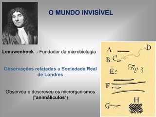 Leeuwenhoek - Fundador da microbiologia
Observações relatadas a Sociedade Real
de Londres
Observou e descreveu os microrganismos
("animáliculos“)
O MUNDO INVISÍVEL
 