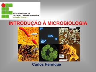 INTRODUÇÃO À MICROBIOLOGIA
Carlos Henrique
 