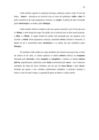 13


       Cada membro superior é composto de braço, antebraço, pulso e mão. O osso do
braço – úmero – articula-se no cotovelo com os ossos do antebraço: rádio e ulna. O
pulso constitui-se de ossos pequenos e maciços, os carpos. A palma da mão é formada
pelos metacarpos e os dedos, pelas falanges.

       Cada membro inferior compõe-se de coxa, perna, tornozelo e pé. O osso da coxa
é o fêmur, o mais longo do corpo. No joelho, ele se articula com os dois ossos da perna:
a tíbia e a fíbula. A região frontal do joelho está protegida por um pequeno osso
circular: a rótula. Ossos pequenos e maciços, chamados tarsos, formam o tornozelo. A
planta do pé é constituída pelos metatarsos e os dedos dos pés (artelhos), pelas
falanges.

       Os membros estão unidos ao corpo mediante um sistema ósseo que toma o nome
de cintura ou de cinta. A cintura superior se chama cintura torácica ou escapular
(formada pela clavícula e pela escápula ou omoplata); a inferior se chama cintura
pélvica, popularmente conhecida como bacia (constituída pelo sacro - osso volumoso
resultante da fusão de cinco vértebras, por um par de ossos ilíacos e pelo cóccix,
formado por quatro a seis vértebras rudimentares fundidas). A primeira sustenta o
úmero e com ele todo o braço; a segunda dá apoio ao fêmur e a toda a perna.
 
