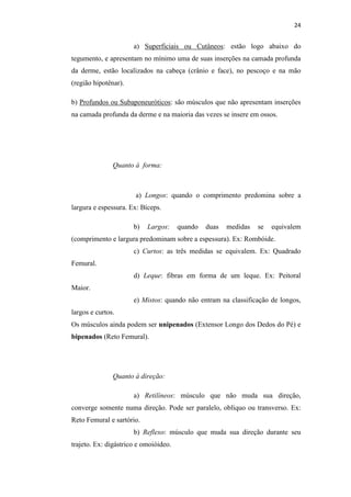 24


                      a) Superficiais ou Cutâneos: estão logo abaixo do
tegumento, e apresentam no mínimo uma de suas inserções na camada profunda
da derme, estão localizados na cabeça (crânio e face), no pescoço e na mão
(região hipotênar).

b) Profundos ou Subaponeuróticos: são músculos que não apresentam inserções
na camada profunda da derme e na maioria das vezes se insere em ossos.




               Quanto à forma:



                       a) Longos: quando o comprimento predomina sobre a
largura e espessura. Ex: Bíceps.

                      b)   Largos:     quando   duas   medidas   se   equivalem
(comprimento e largura predominam sobre a espessura). Ex: Rombóide.
                      c) Curtos: as três medidas se equivalem. Ex: Quadrado
Femural.
                      d) Leque: fibras em forma de um leque. Ex: Peitoral
Maior.
                      e) Mistos: quando não entram na classificação de longos,
largos e curtos.
Os músculos ainda podem ser unipenados (Extensor Longo dos Dedos do Pé) e
bipenados (Reto Femural).




               Quanto à direção:

                      a) Retilíneos: músculo que não muda sua direção,
converge somente numa direção. Pode ser paralelo, oblíquo ou transverso. Ex:
Reto Femural e sartório.
                      b) Reflexo: músculo que muda sua direção durante seu
trajeto. Ex: digástrico e omoióideo.
 