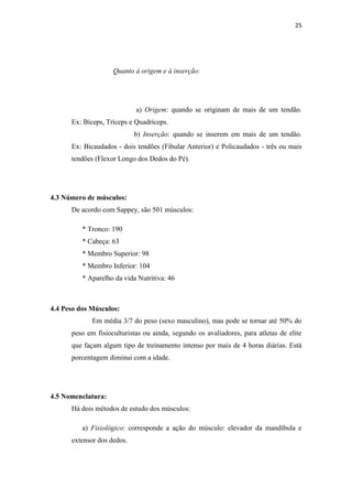 25




                    Quanto à origem e à inserção:




                            a) Origem: quando se originam de mais de um tendão.
      Ex: Bíceps, Tríceps e Quadríceps.
                            b) Inserção: quando se inserem em mais de um tendão.
      Ex: Bicaudados - dois tendões (Fibular Anterior) e Policaudados - três ou mais
      tendões (Flexor Longo dos Dedos do Pé).




4.3 Número de músculos:
      De acordo com Sappey, são 501 músculos:

          * Tronco: 190
          * Cabeça: 63
          * Membro Superior: 98
          * Membro Inferior: 104
          * Aparelho da vida Nutritiva: 46



4.4 Peso dos Músculos:
             Em média 3/7 do peso (sexo masculino), mas pode se tornar até 50% do
      peso em fisioculturistas ou ainda, segundo os avaliadores, para atletas de elite
      que façam algum tipo de treinamento intenso por mais de 4 horas diárias. Está
      porcentagem diminui com a idade.




4.5 Nomenclatura:
      Há dois métodos de estudo dos músculos:

          a) Fisiológico: corresponde a ação do músculo: elevador da mandíbula e
      extensor dos dedos.
 
