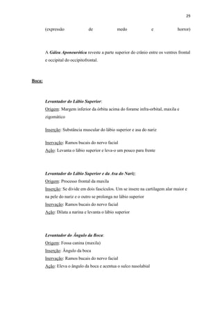 29


        (expressão               de             medo                e            horror)




        A Gálea Aponeurótica reveste a parte superior do crânio entre os ventres frontal
        e occipital do occipitofrontal.



Boca:



        Levantador do Lábio Superior:
        Origem: Margem inferior da órbita acima do forame infra-orbital, maxila e
        zigomático

        Inserção: Substância muscular do lábio superior e asa do nariz

        Inervação: Ramos bucais do nervo facial
        Ação: Levanta o lábio superior e leva-o um pouco para frente




        Levantador do Lábio Superior e da Asa do Nariz:
        Origem: Processo frontal da maxila
        Inserção: Se divide em dois fascículos. Um se insere na cartilagem alar maior e
        na pele do nariz e o outro se prolonga no lábio superior
        Inervação: Ramos bucais do nervo facial
        Ação: Dilata a narina e levanta o lábio superior




        Levantador do Ângulo da Boca:
        Origem: Fossa canina (maxila)
        Inserção: Ângulo da boca
        Inervação: Ramos bucais do nervo facial
        Ação: Eleva o ângulo da boca e acentua o sulco nasolabial
 