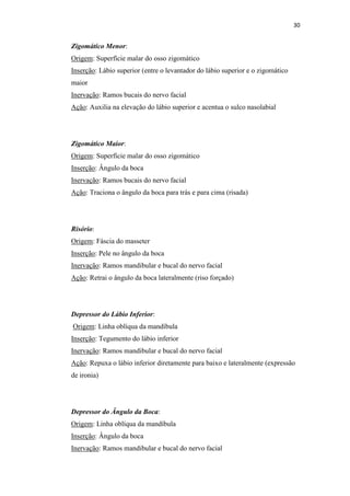 30


Zigomático Menor:
Origem: Superfície malar do osso zigomático
Inserção: Lábio superior (entre o levantador do lábio superior e o zigomático
maior
Inervação: Ramos bucais do nervo facial
Ação: Auxilia na elevação do lábio superior e acentua o sulco nasolabial




Zigomático Maior:
Origem: Superfície malar do osso zigomático
Inserção: Ângulo da boca
Inervação: Ramos bucais do nervo facial
Ação: Traciona o ângulo da boca para trás e para cima (risada)




Risório:
Origem: Fáscia do masseter
Inserção: Pele no ângulo da boca
Inervação: Ramos mandibular e bucal do nervo facial
Ação: Retrai o ângulo da boca lateralmente (riso forçado)




Depressor do Lábio Inferior:
Origem: Linha oblíqua da mandíbula
Inserção: Tegumento do lábio inferior
Inervação: Ramos mandibular e bucal do nervo facial
Ação: Repuxa o lábio inferior diretamente para baixo e lateralmente (expressão
de ironia)




Depressor do Ângulo da Boca:
Origem: Linha oblíqua da mandíbula
Inserção: Ângulo da boca
Inervação: Ramos mandibular e bucal do nervo facial
 