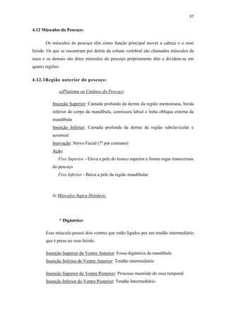 37


4.12 Músculos do Pescoço:

       Os músculos do pescoço têm como função principal mover a cabeça e o osso
hióide. Os que se encontram por detrás da coluna vertebral são chamados músculos da
nuca e os demais são ditos músculos do pescoço propriamente dito e dividem-se em
quatro regiões:

4.12.1Região anterior do pescoço:

              a)Platisma ou Cutâneo do Pescoço:

           Inserção Superior: Camada profunda da derme da região mentoniana, borda
           inferior do corpo da mandíbula, comissura labial e linha oblíqua externa da
           mandíbula
           Inserção Inferior: Camada profunda da derme da região subclavicular e
           acromial
           Inervação: Nervo Facial (7º par craniano)
           Ação:
              Fixo Superior - Eleva a pele do tronco superior e forma rugas transversais
           do pescoço
              Fixo Inferior - Baixa a pele da região mandibular



           b) Músculos Supra-Hióideos;




              * Digástrico:

       Esse músculo possui dois ventres que estão ligados por um tendão intermediário
       que é preso ao osso hióide.

       Inserção Superior do Ventre Anterior: Fossa digástrica da mandíbula
       Inserção Inferior do Ventre Anterior: Tendão intermediário

       Inserção Superior do Ventre Posterior: Processo mastóide do osso temporal
       Inserção Inferior do Ventre Posterior: Tendão Intermediário
 