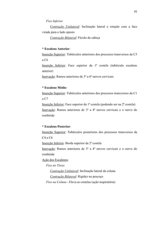 41


   Fixo Inferior
       Contração Unilateral: Inclinação lateral e rotação com a face
virada para o lado oposto
       Contração Bilateral: Flexão da cabeça


* Escaleno Anterior:
Inserção Superior: Tubérculos anteriores dos processos transversos da C3
a C6
Inserção Inferior: Face superior da 1ª costela (tubérculo escaleno
anterior)
Inervação: Ramos anteriores de 3º a 6º nervos cervicais


* Escaleno Médio:
Inserção Superior: Tubérculos anteriores dos processos transversos da C1
a C7
Inserção Inferior: Face superior da 1ª costela (podendo ser na 2ª costela)
Inervação: Ramos anteriores de 3º a 4º nervos cervicais e o nervo do
rombóide


* Escaleno Posterior:
Inserção Superior: Tubérculos posteriores dos processos transversos da
C4 a C6
Inserção Inferior: Borda superior da 2ª costela
Inervação: Ramos anteriores de 3º a 4º nervos cervicais e o nervo do
rombóide
Ação dos Escalenos:
   Fixo no Tórax
       Contração Unilateral: Inclinação lateral da coluna
       Contração Bilateral: Rigidez no pescoço
   Fixo na Coluna - Eleva as costelas (ação inspiratória)
 