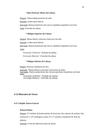 45


              * Reto Posterior Menor da Cabeça:

      Origem: Tuberosidade posterior do atlas
      Inserção: Linha nucal inferior
      Inervação: Ramos posteriores dos nervos espinhais (raquídios) cervicais
      Ação: Extensão da cabeça

              * Oblíquo Superior da Cabeça:

      Origem: Massa lateral e processo transverso do atlas
      Inserção: Linha nucal inferior
      Inervação: Ramos posteriores dos nervos espinhais (raquídios) cervicais
      Ação:
          Contração Unilateral - Rotação da cabeça
          Contração Bilateral - Extensão da cabeça

              * Oblíquo Inferior da Cabeça:

      Origem: Processo espinhoso do áxis
      Inserção: Massa lateral e processo transverso do atlas
      Inervação: Ramos posteriores dos nervos espinhais (raquídios) cervicais
      Ação:
          Contração Unilateral - Rotação da cabeça
          Contração Bilateral - Extensão da cabeça




4.13 Músculos do Tórax:



4.13.1 Região Ântero-Lateral


      Peitoral Maior:
      Origem: 2/3 mediais da borda anterior da clavícula, face anterior do esterno, face
      externa da 1ª a 6ª cartilagens costais, 6ª a 7ª costelas e bainha do M. Reto do
      abdome
      Inserção: Crista do tubérculo maior do úmero
 