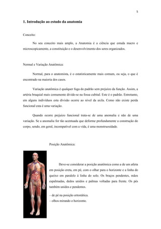 5


1. Introdução ao estudo da anatomia


Conceito:

       No seu conceito mais amplo, a Anatomia é a ciência que estuda macro e
microscopicamente, a constituição e o desenvolvimento dos seres organizados.



Normal e Variação Anatômica:

       Normal, para o anatomista, é o estatisticamente mais comum, ou seja, o que é
encontrado na maioria dos casos.

       Variação anatômica é qualquer fuga do padrão sem prejuízo da função. Assim, a
artéria braquial mais comumente divide-se na fossa cubital. Este é o padrão. Entretanto,
em alguns indivíduos esta divisão ocorre ao nível da axila. Como não existe perda
funcional esta é uma variação.

       Quando ocorre prejuízo funcional trata-se de uma anomalia e não de uma
variação. Se a anomalia for tão acentuada que deforme profundamente a construção do
corpo, sendo, em geral, incompatível com a vida, é uma monstruosidade.




                    Posição Anatômica:




                           Deve-se considerar a posição anatômica como a de um atleta
                    em posição ereta, em pé, com o olhar para o horizonte e a linha do
                    queixo em paralelo à linha do solo. Os braços pendentes, mãos
                    espalmadas, dedos unidos e palmas voltadas para frente. Os pés
                    também unidos e pendentes.

                    – de pé na posição ortostática.
                    – olhos mirando o horizonte.
 