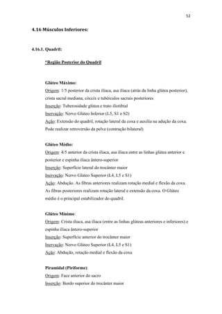 52


4.16 Músculos Inferiores:



4.16.1. Quadril:

       *Região Posterior do Quadril



       Glúteo Máximo:
       Origem: 1/5 posterior da crista ilíaca, asa ilíaca (atrás da linha glútea posterior),
       crista sacral mediana, cóccix e tubérculos sacrais posteriores
       Inserção: Tuberosidade glútea e trato iliotibial
       Inervação: Nervo Glúteo Inferior (L5, S1 e S2)
       Ação: Extensão do quadril, rotação lateral da coxa e auxilia na adução da coxa.
       Pode realizar retroversão da pelve (contração bilateral)


       Glúteo Médio:
       Origem: 4/5 anterior da crista ilíaca, asa ilíaca entre as linhas glútea anterior e
       posterior e espinha ilíaca ântero-superior
       Inserção: Superfície lateral do trocânter maior
       Inervação: Nervo Glúteo Superior (L4, L5 e S1)
       Ação: Abdução. As fibras anteriores realizam rotação medial e flexão da coxa.
       As fibras posteriores realizam rotação lateral e extensão da coxa. O Glúteo
       médio é o principal estabilizador do quadril.


       Glúteo Mínimo:
       Origem: Crista ilíaca, asa ilíaca (entre as linhas glúteas anteriores e inferiores) e
       espinha ilíaca ântero-superior
       Inserção: Superfície anterior do trocânter maior
       Inervação: Nervo Glúteo Superior (L4, L5 e S1)
       Ação: Abdução, rotação medial e flexão da coxa


       Piramidal (Piriforme):
       Origem: Face anterior do sacro
       Inserção: Bordo superior do trocânter maior
 