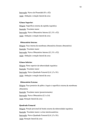 53


Inervação: Nervo do Piramidal (S1 e S2)
Ação: Abdução e rotação lateral da coxa


Gêmeo Superior:
Origem: Superfície externa da espinha isquiática
Inserção: Trocânter maior
Inervação: Nervo Obturatório Interno (L5, S1 e S2)
Ação: Abdução e rotação lateral da coxa


 Obturatório Interno:
Origem: Face interna da membrana obturatória (forame obturatório)
Inserção: Trocânter maior
Inervação: Nervo Obturatório Interno (L5, S1 e S2)
Ação: Abdução e rotação lateral da coxa


Gêmeo Inferior:
Origem: Parte superior da tuberosidade isquiática
Inserção: Trocânter maior
Inervação: Nervo Quadrado Femoral (L4, L5 e S1)
Ação: Abdução e rotação lateral da coxa


 Obturatório Externo:
Origem: Face posterior do púbis e ísquio e superfície externa da membrana
obturatória
Inserção: Trocânter maior (posteriormente)
Inervação: Nervo Obturatório (L3 e L4)
Ação: Rotação lateral da coxa


Quadrado Femural:
Origem: Porção proximal do bordo externo da tuberosidade isquiática
Inserção: Trocânter maior e crista intertrocantérica
Inervação: Nervo Quadrado Femoral (L4, L5 e S1)
Ação: Rotação lateral da coxa
 