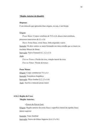 54




      *Região Anterior do Quadril:


      Iliopsoas:
      É um músculo que apresenta duas origens, ou seja, é um bíceps


      Origem:
          Psoas Maior: Corpos vertebrais de T12 a L4, discos intervertebrais,
      processos transversos de L1 a L4
          Ilíaco: Fossa ilíaca, crista ilíaca, linha arqueada e sacro.
      Inserção: Os dois ventres se unem formando um único tendão que se insere no
      trocânter Menor do fêmur
      Inervação: Nervo Femural (L1, L2 e L3)
      Ação:
          Fixo no Tronco: Flexão da coxa, rotação lateral da coxa
          Fixo no Fêmur: Flexão de tronco


      Psoas Menor:
      Origem: Corpo vertebral de T12 e L1
      Inserção: Eminência iliopúbica
      Inervação: Plexo lombar (L2, L3 e L4)
      Ação: Auxilia o músculo psoas maior




4.16.2. Região da Coxa:
      *Região Anterior;

              -Tensor da Fáscia Lata:
      Origem: Região anterior da crista ilíaca e superfície lateral da espinha ilíaca
      ântero-superior

      Inserção: Trato iliotibial
      Inervação: Nervo do Glúteo Superior (L4, L5 e S1)
 