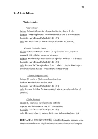 58


4.16.3 Região da Perna:



          *Região Anterior;

             Tibial Anterior:
      Origem: Tuberosidade anterior e lateral da tíbia e face lateral da tíbia
      Inserção: Superfície plantar do cuneiforme medial e base do 1º metatarsiano
      Inervação: Nervo Fibular Profundo (L4, L5 e S1)
      Ação: Flexão dorsal do pé, adução e rotação medial do pé (inversão)


           Extensor Longo dos Dedos:
      Origem: Tuberosidade lateral da tíbia, 2/3 superiores da fíbula, superfície
      anterior da tíbia e fíbula e membrana interóssea
      Inserção: Base da falange media e distal da superfície dorsal do 2º ao 5º dedos
      Inervação: Nervo Fibular Profundo (L4, L5 e S1)
      Ação: Extensão da 3ª falange sobre a 2ª, da 2ª sobre a 1ª, flexão dorsal do pé e
      acessoriamente faz abdução e rotação lateral do pé (eversão)


               Extensor Longo do Hálux:
      Origem: 1/3 médio da fíbula e membrana interóssea
      Inserção: Base da falange distal do hálux
      Inervação: Nervo Fibular Profundo (L4, L5 e S1)
      Ação: Extensão do hálux, flexão dorsal do pé, adução e rotação medial do pé
      (inversão)


              Fibular Terceiro:
      Origem: 1/3 inferior da superfície medial da fíbula
      Inserção: Superfície dorsal da base do 5º metatarsiano
      Inervação: Nervo Fibular Profundo (L4, L5 e S1)
      Ação: Flexão dorsal do pé, abdução do pé e rotação lateral do pé (eversão)


      RETINÁCULO DOS EXTENSORES: Os tendões dos quatro músculos acima
      atravessam anteriormente a região do tornozelo e necessitam ser contidos para
 