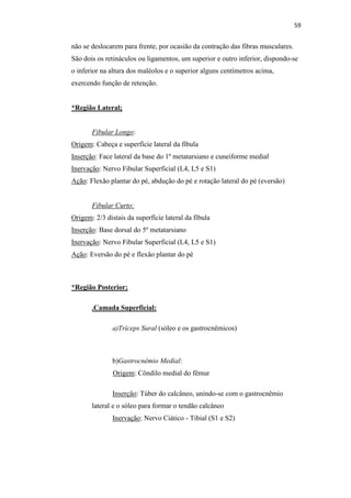 59


não se deslocarem para frente, por ocasião da contração das fibras musculares.
São dois os retináculos ou ligamentos, um superior e outro inferior, dispondo-se
o inferior na altura dos maléolos e o superior alguns centímetros acima,
exercendo função de retenção.


*Região Lateral;


       Fibular Longo:
Origem: Cabeça e superfície lateral da fíbula
Inserção: Face lateral da base do 1º metatarsiano e cuneiforme medial
Inervação: Nervo Fibular Superficial (L4, L5 e S1)
Ação: Flexão plantar do pé, abdução do pé e rotação lateral do pé (eversão)


       Fibular Curto:
Origem: 2/3 distais da superfície lateral da fíbula
Inserção: Base dorsal do 5º metatarsiano
Inervação: Nervo Fibular Superficial (L4, L5 e S1)
Ação: Eversão do pé e flexão plantar do pé



*Região Posterior;

       .Camada Superficial:

               a)Tríceps Sural (sóleo e os gastrocnêmicos)



               b)Gastrocnêmio Medial:
               Origem: Côndilo medial do fêmur

               Inserção: Túber do calcâneo, unindo-se com o gastrocnêmio
       lateral e o sóleo para formar o tendão calcâneo
               Inervação: Nervo Ciático - Tibial (S1 e S2)
 