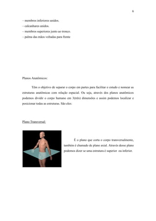 6


– membros inferiores unidos.
– calcanhares unidos.
– membros superiores junto ao tronco.
– palma das mãos voltadas para frente




Planos Anatômicos:

       Têm o objetivo de separar o corpo em partes para facilitar o estudo e nomear as
estruturas anatômicas com relação espacial. Ou seja, através dos planos anatômicos
podemos dividir o corpo humano em 3(três) dimensões e assim podemos localizar e
posicionar todas as estruturas. São eles:




Plano Transversal:




                                            É o plano que corta o corpo transversalmente,
                                  também é chamado de plano axial. Através desse plano
                                  podemos dizer se uma estrutura é superior ou inferior.
 