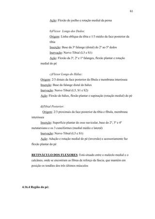 61


                       Ação: Flexão do joelho e rotação medial da perna


                       b)Flexor Longo dos Dedos:
                       Origem: Linha oblíqua da tíbia e 1/3 médio da face posterior da
                       tíbia
                       Inserção: Base da 3ª falange (distal) do 2º ao 5º dedos
                       Inervação: Nervo Tibial (L5 e S1)
                       Ação: Flexão da 3ª, 2ª e 1ª falanges, flexão plantar e rotação
             medial do pé


                       c)Flexor Longo do Hálux:
             Origem: 2/3 distais da face posterior da fíbula e membrana interóssea
             Inserção: Base da falange distal do hálux
             Inervação: Nervo Tibial (L5, S1 e S2)
             Ação: Flexão do hálux, flexão plantar e supinação (rotação medial) do pé


             d)Tibial Posterior:
               Origem: 2/3 proximais da face posterior da tíbia e fíbula, membrana
      interóssea
             Inserção: Superfície plantar do osso navicular, base do 2º, 3º e 4º
      metatarsiano e os 3 cuneiformes (medial médio e lateral)
             Inervação: Nervo Tibial (L5 e S1)
             Ação: Adução e rotação medial do pé (inversão) e acessoriamente faz
      flexão plantar do pé


      RETINÁCULO DOS FLEXORES: Está situado entre o maléolo medial e o
      calcâneo, onde se encontram as fibras de reforço da fáscia, que mantém em
      posição os tendões dos três últimos músculos




4.16.4 Região do pé:
 