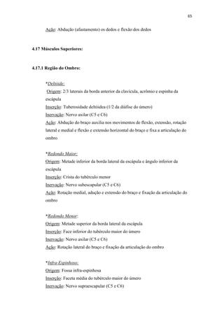 65


      Ação: Abdução (afastamento) os dedos e flexão dos dedos



4.17 Músculos Superiores:



4.17.1 Região do Ombro:


      *Deltóide:
       Origem: 2/3 laterais da borda anterior da clavícula, acrômio e espinha da
      escápula
      Inserção: Tuberosidade deltóidea (1/2 da diáfise do úmero)
      Inervação: Nervo axilar (C5 e C6)
      Ação: Abdução do braço auxilia nos movimentos de flexão, extensão, rotação
      lateral e medial e flexão e extensão horizontal do braço e fixa a articulação do
      ombro


      *Redondo Maior:
      Origem: Metade inferior da borda lateral da escápula e ângulo inferior da
      escápula
      Inserção: Crista do tubérculo menor
      Inervação: Nervo subescapular (C5 e C6)
      Ação: Rotação medial, adução e extensão do braço e fixação da articulação do
      ombro


      *Redondo Menor:
      Origem: Metade superior da borda lateral da escápula
      Inserção: Face inferior do tubérculo maior do úmero
      Inervação: Nervo axilar (C5 e C6)
      Ação: Rotação lateral do braço e fixação da articulação do ombro


      *Infra-Espinhoso:
      Origem: Fossa infra-espinhosa
      Inserção: Faceta média do tubérculo maior do úmero
      Inervação: Nervo supraescapular (C5 e C6)
 