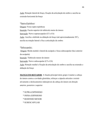66


Ação: Rotação lateral do braço, fixação da articulação do ombro e auxilia na
extensão horizontal do braço


*Supra-Espinhoso:
Origem: Fossa supra-espinhosa
Inserção: Faceta superior do tubérculo maior do úmero
Inervação: Nervo supraescapular (C5 e C6)
Ação: Auxilia o deltóide na abdução do braço (até aproximadamente 30°),
auxilia na rotação lateral e fixa a articulação do ombro


*Subescapular:
Origem: Borda medial e lateral da escápula e fossa subescapular (face anterior
da escápula)
Inserção: Tubérculo menor do úmero
Inervação: Nervo subescapular (C5 e C6)
Ação: Rotação medial e fixação da articulação do ombro e auxilia na extensão e
abdução do braço


MANGUITO ROTADOR: A função principal deste grupo é manter a cabeça
do úmero contra a cavidade glenóidea, reforçar a cápsula articular e resistir
ativamente e deslocamentos indesejáveis da cabeça do úmero em direção
anterior, posterior e superior


   * SUPRA-ESPINHOSO
   * INFRA-ESPINHOSO
   * REDONDO MENOR
   * SUBESCAPULAR
 