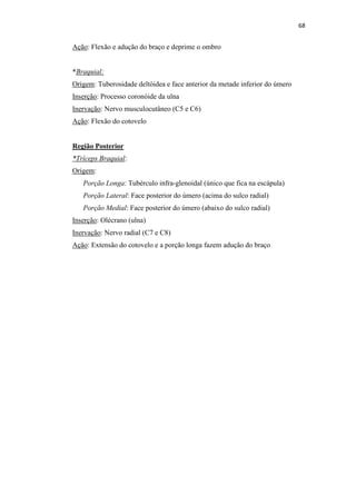68


Ação: Flexão e adução do braço e deprime o ombro


*Braquial:
Origem: Tuberosidade deltóidea e face anterior da metade inferior do úmero
Inserção: Processo coronóide da ulna
Inervação: Nervo musculocutâneo (C5 e C6)
Ação: Flexão do cotovelo


Região Posterior
*Tríceps Braquial:
Origem:
   Porção Longa: Tubérculo infra-glenoidal (único que fica na escápula)
   Porção Lateral: Face posterior do úmero (acima do sulco radial)
   Porção Medial: Face posterior do úmero (abaixo do sulco radial)
Inserção: Olécrano (ulna)
Inervação: Nervo radial (C7 e C8)
Ação: Extensão do cotovelo e a porção longa fazem adução do braço
 