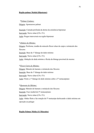 75


Região palmar Medial (Hipotenar)



 *Palmar Cutâneo:
Origem: Aponeurose palmar

Inserção: Camada profunda da derme da eminência hipotenar
Inervação: Nervo ulnar (C8 e T1)
Ação: Pregas transversais na região hipotenar


*Abdutor do Mínimo:
Origem: Pisiforme, tendão do músculo flexor ulnar do carpo e retináculo dos
flexores
Inserção: Base da 1ª falange do dedo mínimo
Inervação: Nervo ulnar (C8 e T1)
Ação: Abdução do dedo mínimo e flexão da falange proximal do mesmo


*Flexor Curto do Mínimo:
Origem: Hâmulo do hamato e retináculo dos flexores
Inserção: Base da 1ª falange do dedo mínimo
Inervação: Nervo ulnar (C8 e T1)
Ação: Flerte a 1ª falange do dedo mínimo sobre o 5º metacarpiano


*Oponente do Mínimo:
Origem: Hâmulo do hamato e retináculo dos flexores
Inserção: Face medial do 5º metacarpiano
Inervação: Nervo ulnar (C8 e T1)
Ação: Abduz flerte e faz rotação do 5º metacarpo deslocando o dedo mínimo em
oposição ao polegar




Região Palmar Média (11 Músculos)
 