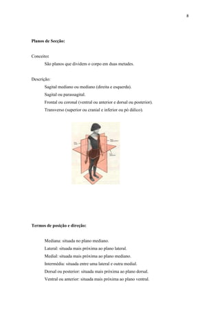 8




Planos de Secção:


Conceito:
      São planos que dividem o corpo em duas metades.


Descrição:
      Sagital mediano ou mediano (direita e esquerda).
      Sagital ou parassagital.
      Frontal ou coronal (ventral ou anterior e dorsal ou posterior).
      Transverso (superior ou cranial e inferior ou pó dálico).




Termos de posição e direção:


      Mediana: situada no plano mediano.
      Lateral: situada mais próxima ao plano lateral.
      Medial: situada mais próxima ao plano mediano.
      Intermédia: situada entre uma lateral e outra medial.
      Dorsal ou posterior: situada mais próxima ao plano dorsal.
      Ventral ou anterior: situada mais próxima ao plano ventral.
 