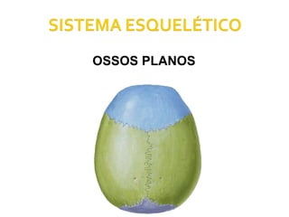 OSSOS PLANOS 