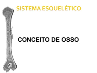 CONCEITO DE OSSO 