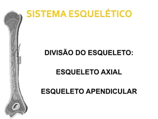 DIVISÃO DO ESQUELETO: ESQUELETO AXIAL ESQUELETO APENDICULAR 