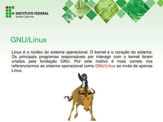 Linux é o núcleo do sistema operacional, O kernel é o coração do sistema.
Os principais programas responsáveis por interagir com o kernel foram
criados pela fundação GNU. Por este motivo é mais correto nos
referenciarmos ao sistema operacional como GNU/Linux ao invés de apenas
Linux.
GNU/Linux
 