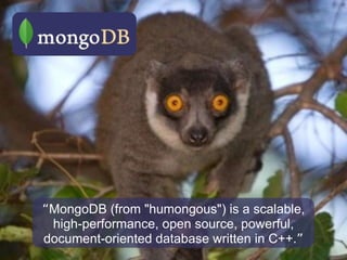 “ MongoDB (from "humongous") is a scalable, high-performance, open source, powerful, document-oriented database written in C++. ” 