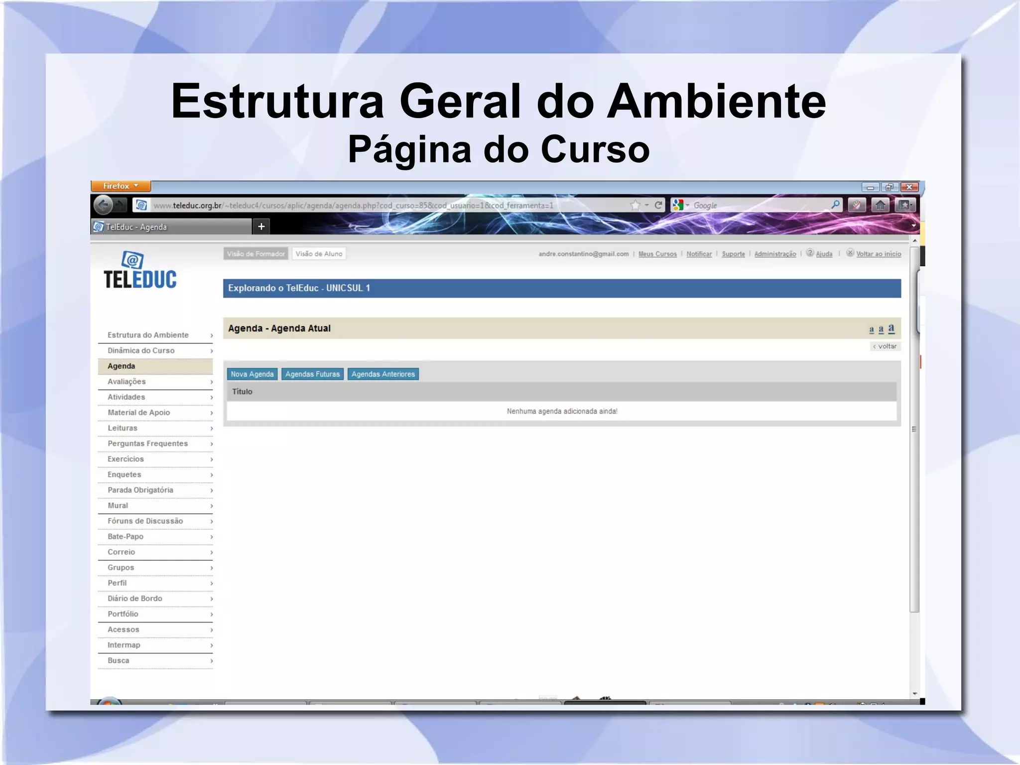 Estrutura Geral do Ambiente 
Página do Curso 
 