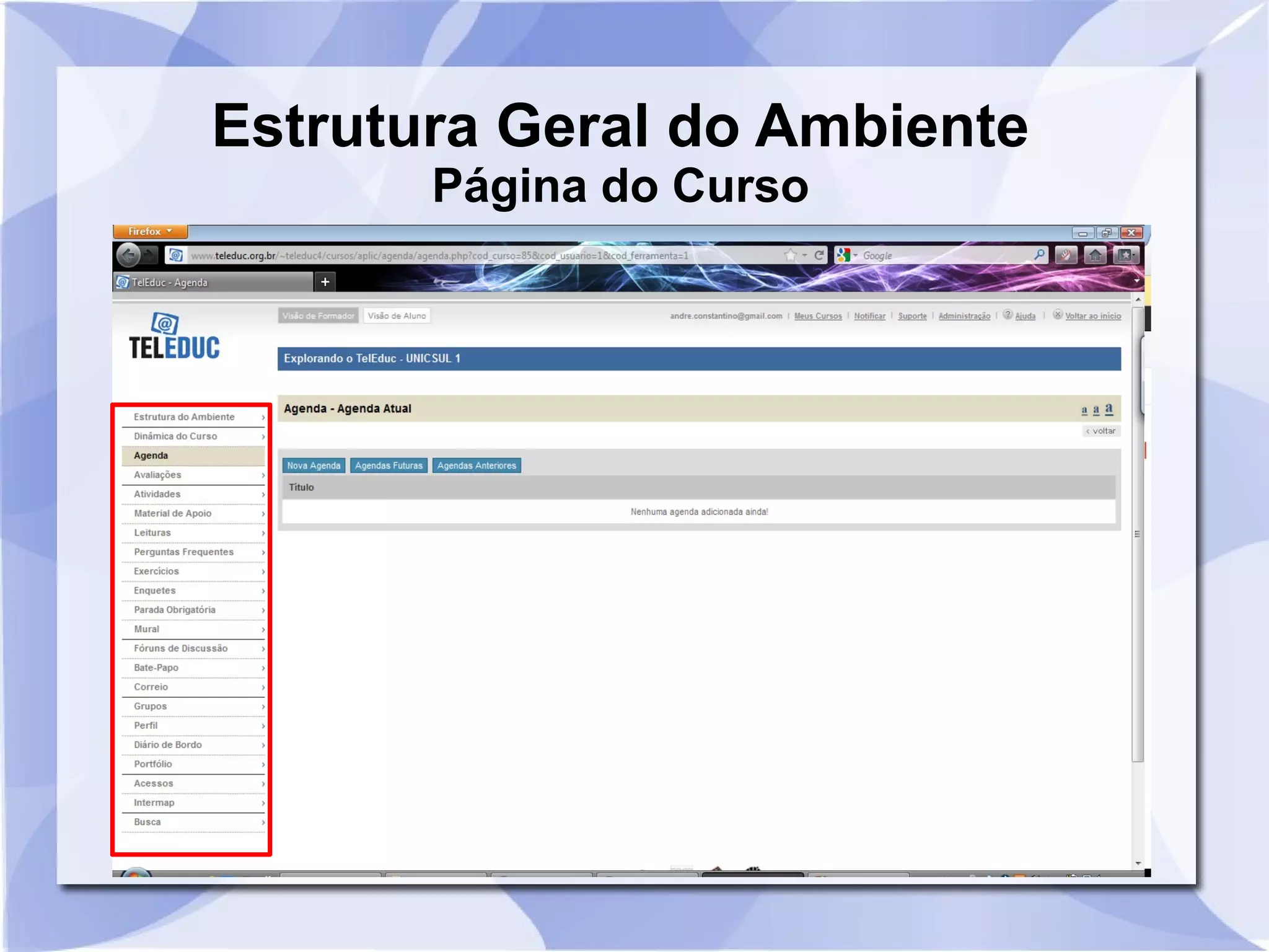 Estrutura Geral do Ambiente 
Página do Curso 
 