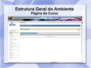 Estrutura Geral do Ambiente 
Página do Curso 
 