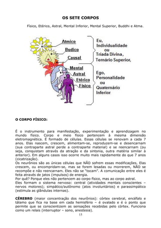 15
OS SETE CORPOS
Físico, Etérico, Astral, Mental Inferior, Mental Superior, Buddhi e Atma.
O CORPO FÍSICO:
É o instrumento para manifestação, experimentação e aprendizagem no
mundo físico. Corpo e meio físico pertencem à mesma dimensão
eletromagnética. É formado de células. Essas células se renovam a cada 7
anos. Elas nascem, crescem, alimentam-se, reproduzem-se e desencarnam
(sua contraparte astral perde a contraparte material) e se reencarnam (ou
seja, conquistam através da atração e da sintonia, outra matéria similar à
anterior). Em alguns casos isso ocorre muito mais rapidamente do que 7 anos
(cicatrização).
Os neurônios são as únicas células que NÃO sofrem essas modificações. Elas
crescem, ou encompridam-se, mas se forem lesadas ou morrerem, NÃO se
recompõe e não reencarnam. Eles não se “tocam”. A comunicação entre eles é
feita através de jatos (impulsos) de energia.
Por quê? Porque eles não pertencem ao corpo físico, mas ao corpo astral.
Eles formam o sistema nervoso: central (atividades mentais conscientes –
nervos motores); simpático/autônomo (atos involuntários) e parassimpático
(estimula as glândulas internas).
CÉREBRO (maior concentração dos neurônios): córtex cerebral, encéfalo e
tálamo que fica na base em cada hemisfério – é ovalado e é o ponto que
permite que se conscientizem as sensações recebidas pelo córtex. Funciona
como um relais (interruptor – sono, anestesia).
 