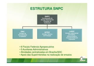 • 8 Fiscais Federais Agropecuários
• 5 Auxiliares Administrativos
• Atividades centralizadas em Brasília/SDC
• Apoio das S...