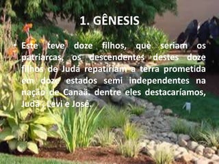 1. GÊNESIS
• Este teve doze filhos, que seriam os
patriarcas, os descendentes destes doze
filhos de Judá repatiriam a terra prometida
em doze estados semi independentes na
nação de Canaã. dentre eles destacaríamos,
Judá , Levi e José.
 