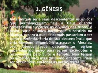 1. GÊNESIS
• Judá porque seria seus descendentes os únicos
que permaneceriam fiéis a Deus quando
começassem a ocorrer as divisões das tribos, e
assim, seria a única nação que subsistiria na
Aliança, e para a qual as demais passariam a ter
como referência. Seria de sua descendência que
viria também a também a nascer o Messias.
Levi, porque seus descendentes seriam
separados do povo para serem sacerdotes e
responsáveis pelo culto e templo. Não teriam
terra na divisão, mas de modo diferente iriam
ser distribuídos em todas as outras terras.
 