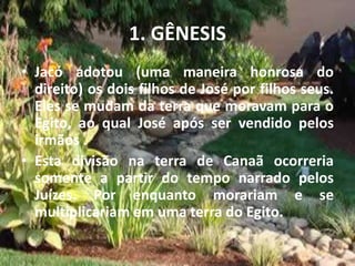 1. GÊNESIS
• Jacó adotou (uma maneira honrosa do
direito) os dois filhos de José por filhos seus.
Eles se mudam da terra que moravam para o
Egito, ao qual José após ser vendido pelos
irmãos .
• Esta divisão na terra de Canaã ocorreria
somente a partir do tempo narrado pelos
Juízes. Por enquanto morariam e se
multiplicariam em uma terra do Egito.
 