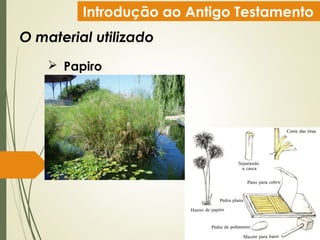 Introdução ao Antigo Testamento
O material utilizado
 Papiro
 