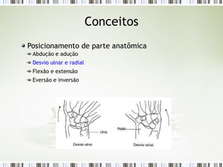 Conceitos
Posicionamento de parte anatômica
Abdução e adução
Desvio ulnar e radial
Flexão e extensão
Eversão e inversão
 