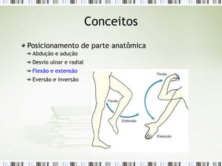 Conceitos
Posicionamento de parte anatômica
Abdução e adução
Desvio ulnar e radial
Flexão e extensão
Eversão e inversão
 