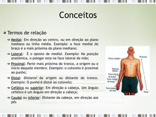 Conceitos
Termos de relação
Medial
Medial: Em direção ao centro, ou em direção ao plano
mediano ou linha média. Exemplo: a face medial do
braço é a mais próxima do plano mediano;
Lateral
Lateral: É o oposto de medial. Exemplo: Na posição
anatômica, o polegar esta na face lateral da mão;
Proximal
Proximal: Parte mais próxima do tronco, a origem ou o
início daquele membro. Exemplo: o cotovelo é proximal
ao punho;
Distal
Distal: Distante da origem ou distante do tronco.
Exemplo: O punho é distal ao cotovelo;
Cefálico
Cefálico ou superior
superior: Em direção a cabeça. Um ângulo
cefálico é um ângulo em direção a cabeça;
Caudal
Caudal ou inferior
inferior: Distante da cabeça, em direção aos
pés
 