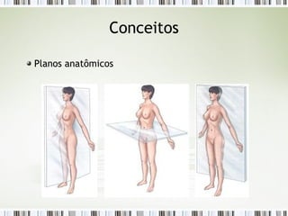 Conceitos
Planos anatômicos
 